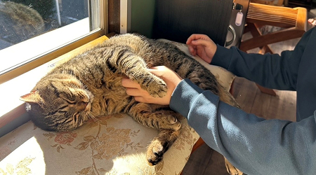 休日の過ごし方
