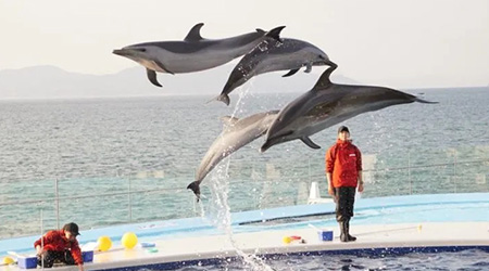 休日の過ごし方