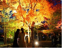 休日の過ごし方