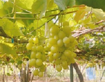 休日の過ごし方